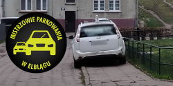 Mistrzowie Parkowania w Elbl�gu (cz�� 442)