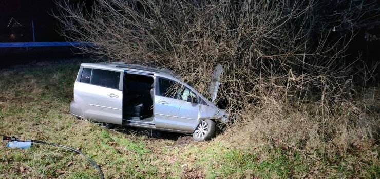 Miał za kółkiem 2,5 promila alkoholu. Uderzył w słup energetyczny
