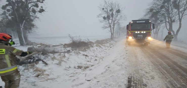 Ponad 4 tysi�ce odbiorc�w w regionie bez pr�du. Awarie r�wnie� w powiecie elbl�skim