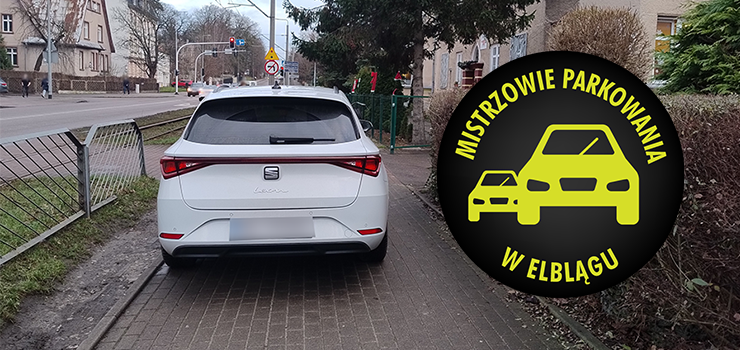 Mistrzowie Parkowania w Elbl�gu (cz�� 445)