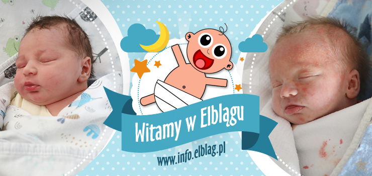 Witamy w Elblągu: Timmy, Tymona i Gabrielę