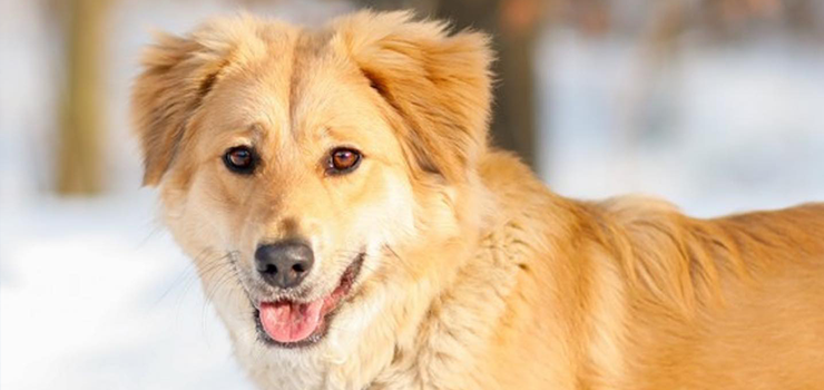 Radosna Ruby rozświetli każdy Twój dzień!