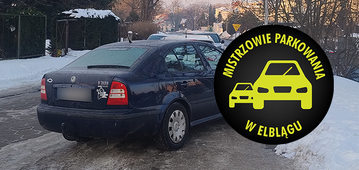 Mistrzowie Parkowania w Elbl�gu (cz�� 446)