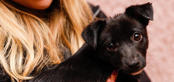 Male�ka Plotka szuka domu!