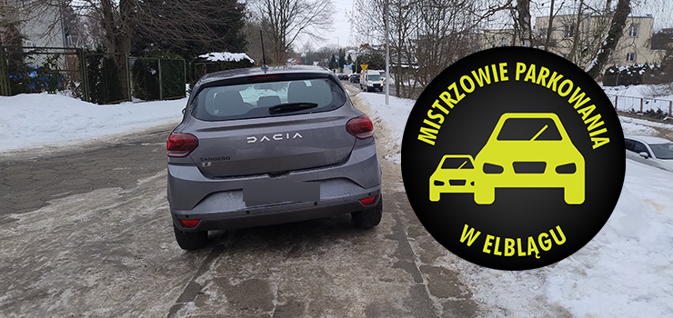Mistrzowie Parkowania w Elblągu (część 447)