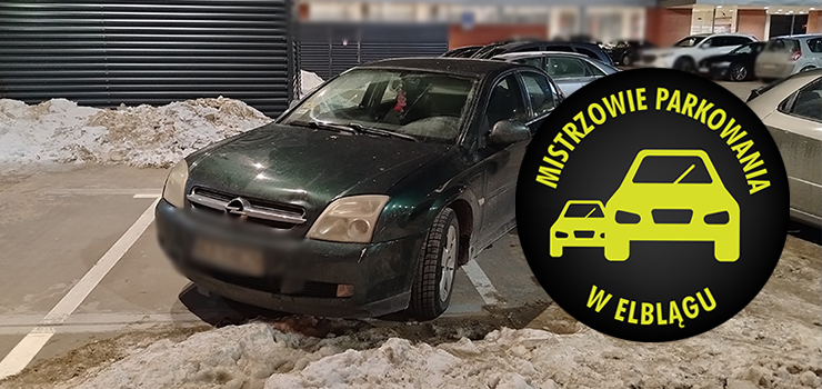 Mistrzowie Parkowania w Elbl�gu (cz�� 449)
