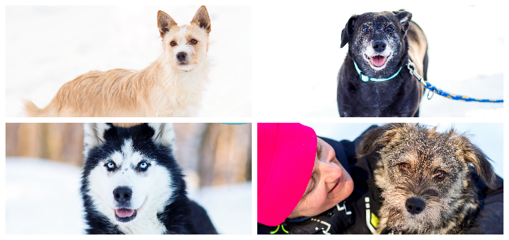 Akcja mrozy trwa nadal! 