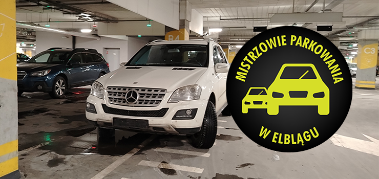 Mistrzowie Parkowania w Elblągu (część 450)