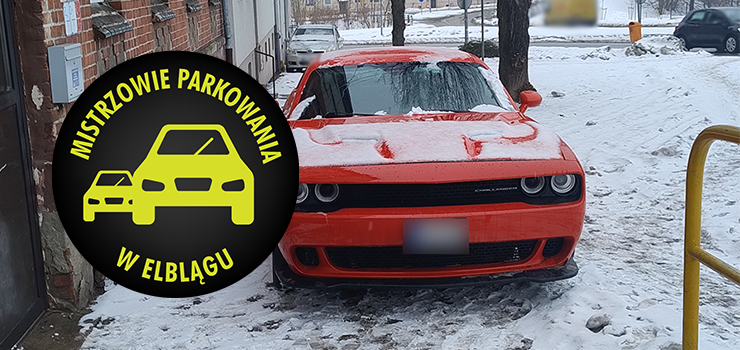 Mistrzowie Parkowania w Elbl�gu (cz�� 451)