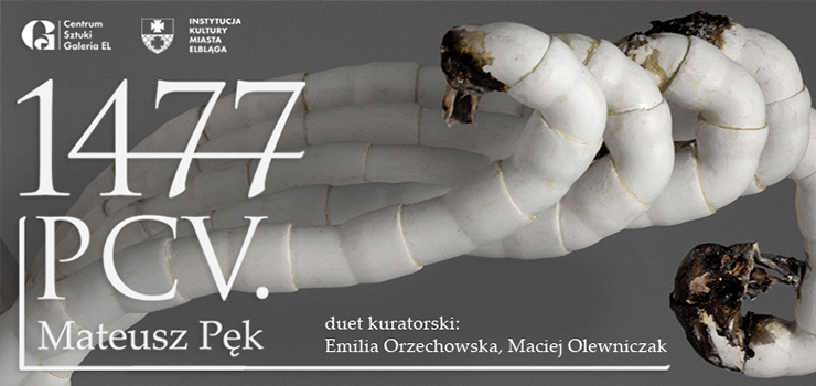 Wystawa 1477 PCV - Mateusz Pęk