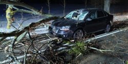 Drzewo spad�o na jad�cy samoch�d. Niebezpieczne zdarzenie na DW 504
