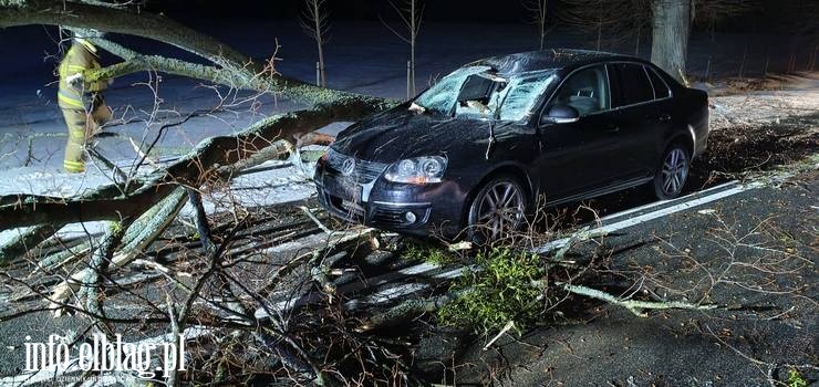 Drzewo spad�o na jad�cy samoch�d. Niebezpieczne zdarzenie na DW 504