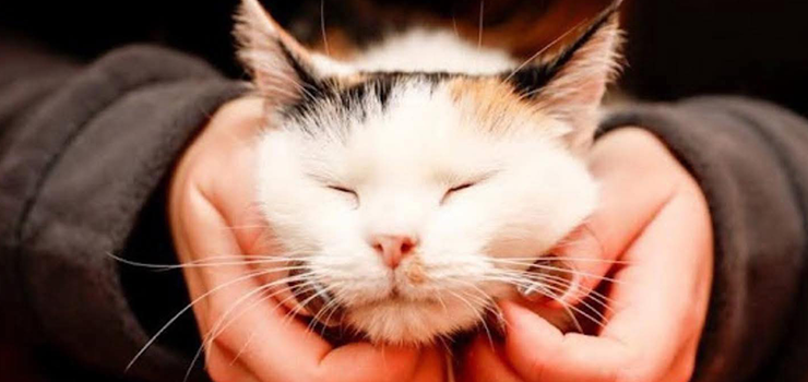 Mokka - przesłodka istotka