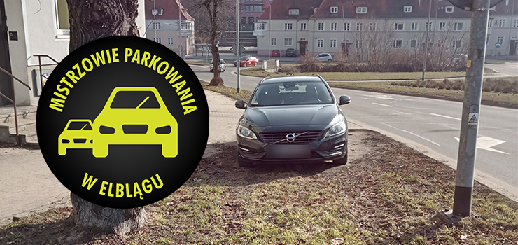 Mistrzowie Parkowania w Elbl�gu (cz�� 457)
