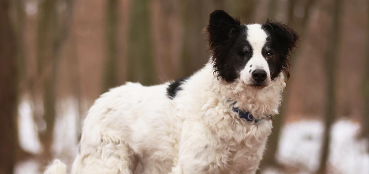 Czy Tofik odnajdzie swoje szcz�cie?