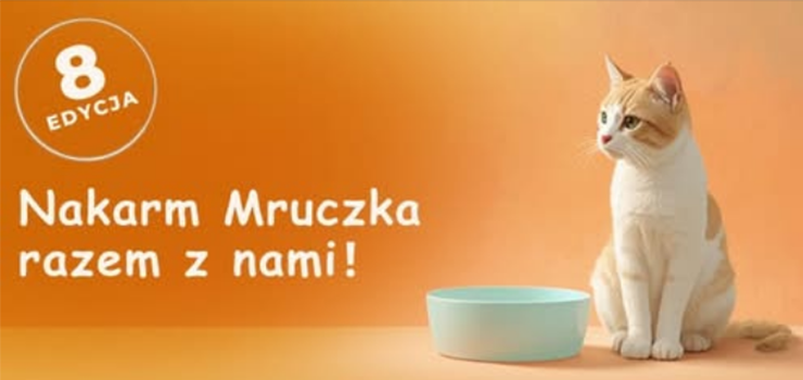 Elbląg pomaga kotom wolno żyjącym!