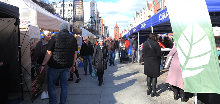 Ruszy� Jarmark Wielkanocny na Starym Mie�cie (zobacz zdj�cia!)