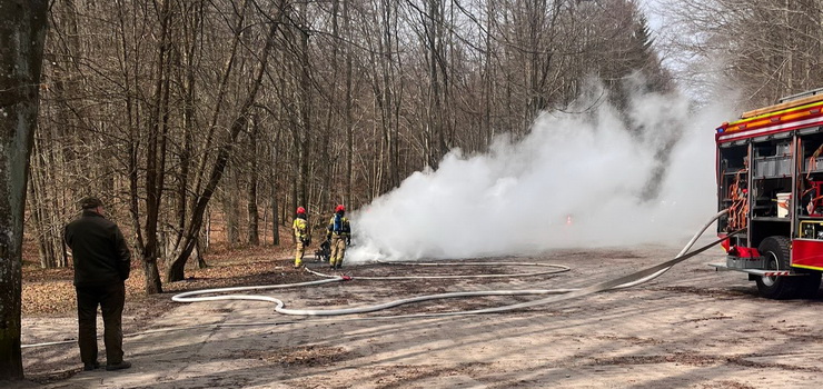 Po�ar samochodu na parkingu przy Jeleniej Dolinie