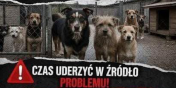 Nie rozmna�aj, nie mn� nieszcz��! Kastracja i chipowanie – TERAZ!
