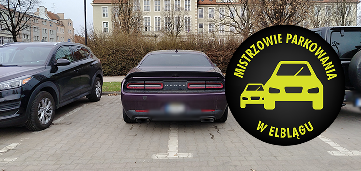 Mistrzowie Parkowania w Elbl�gu (cz�� 461)