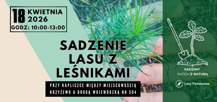 Sadzenie drzew z leśnikami