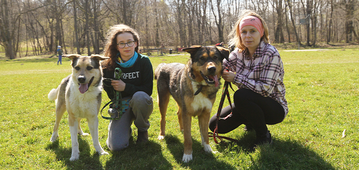 Po raz kolejny zabrali psy z elbl�skiego schroniska na spacer po Ba�antarni
