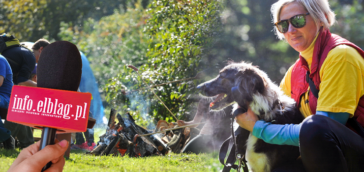 Jakie plany na maj�wk� maj� mieszka�cy Elbl�ga? Sonda uliczna info.elblag.pl 