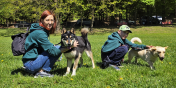 Bieg na 6 �ap w Elbl�gu. Za nami wyj�tkowy spacer z czworonogami (zdj�cia) 
