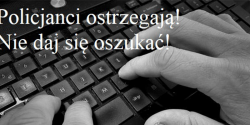 Artyku�