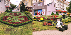 Artyku�