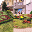 Artyku�