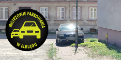 Artykuł