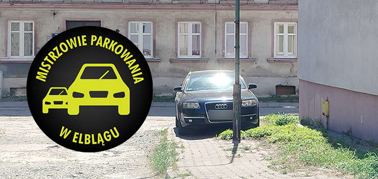 Mistrzowie Parkowania w Elblągu (część 476)