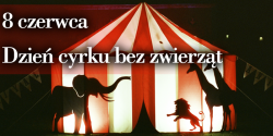 Artyku�