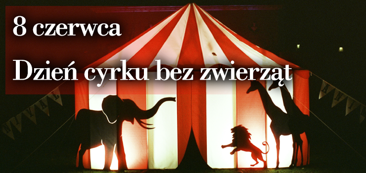 8 czerwca – Dzień Cyrku bez Zwierząt