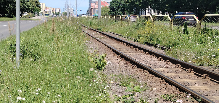 Czytelnik: Czy tak ma wygl�da� g��wna ulica miasta w przeddzie� obchod�w Dni Elbl�ga?