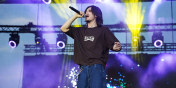 T�umy bawi�y si� podczas Dni Elbl�ga. Zobacz zdj�cia z koncertu Yelly'ego  