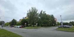 Artykuł