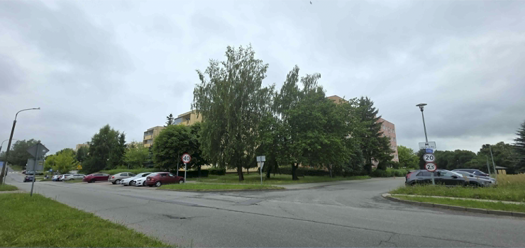 Kilkadziesi�t drzew zniknie z Elbl�ga? EPEC planuje wycinki