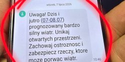 Artyku�