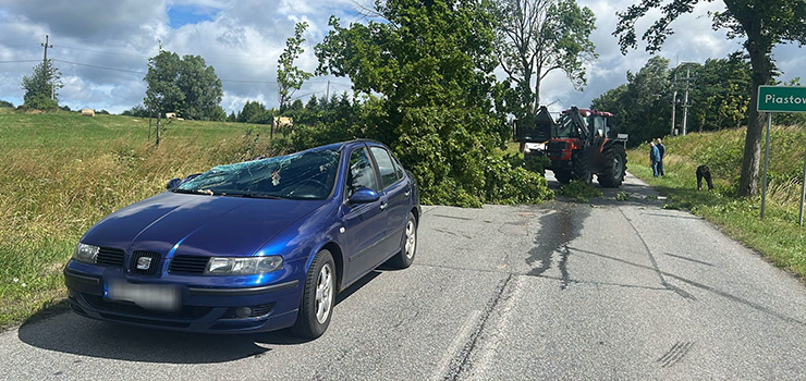 Drzewo zwalone przez silny wiatr na dach samochodu