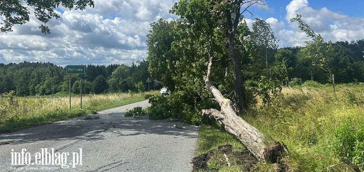 Wichura uderzy�a w region. Powalone drzewa, uszkodzone auta i dziesi�tki interwencji