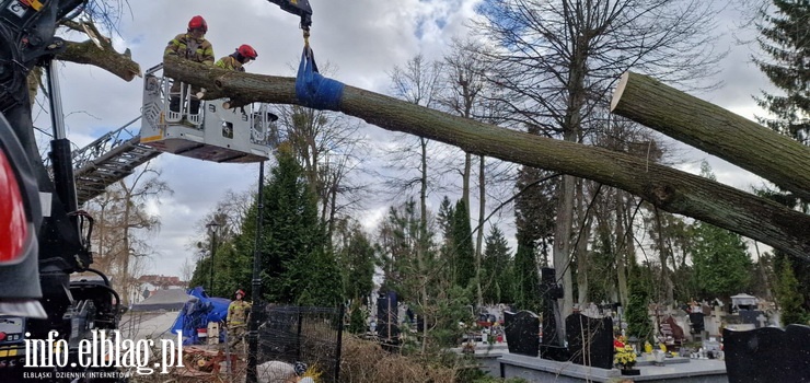 Silny i niebezpieczny wiatr - w dzia�aniu stra�acy PSP, WSP i OSP