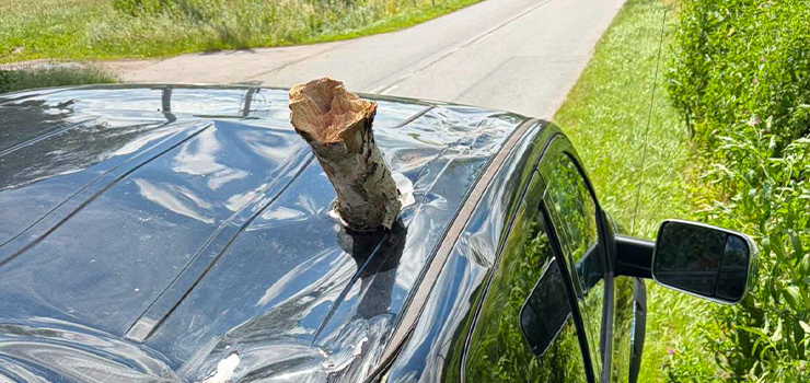 Kolejne zdarzenie spowodowane przez silny wiatr