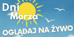 Artyku�