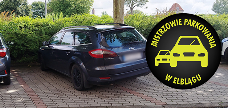 Mistrzowie Parkowania w Elbl�gu (cz�� 493)