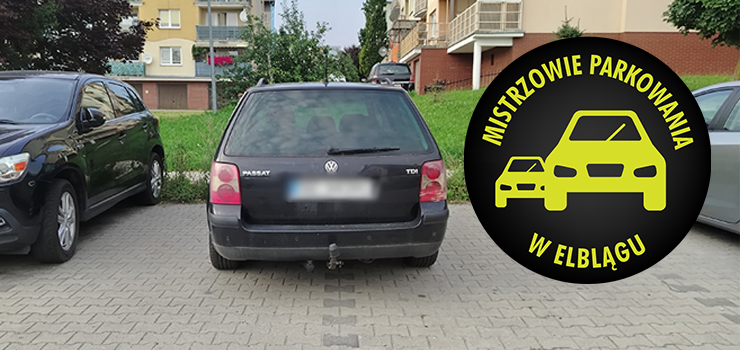 Mistrzowie Parkowania w Elblągu (część 497)