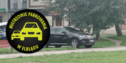 Artyku�