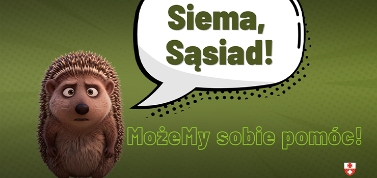 Jeż – mały heros. Apel do kierowców: Ściągnij nogę z gazu!