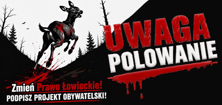 Powstał projekt obywatelski dotyczący nowelizacji prawa łowieckiego